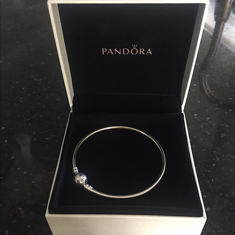 Sterling Silver Pandora Bracelet - Picture 7 of 12